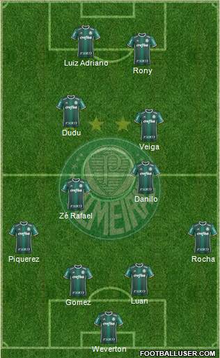 SE Palmeiras Formation 2021