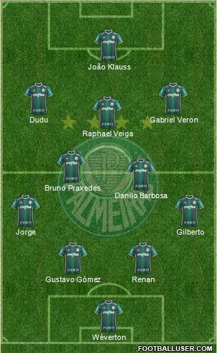 SE Palmeiras Formation 2021