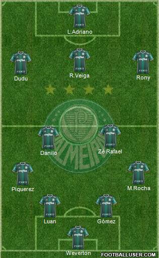 SE Palmeiras Formation 2021