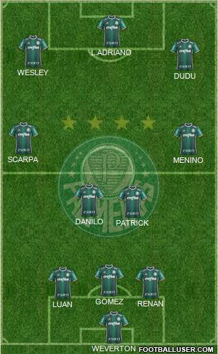 SE Palmeiras Formation 2021