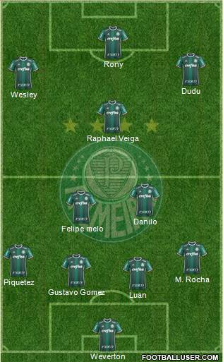 SE Palmeiras Formation 2021
