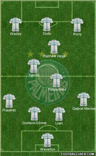 SE Palmeiras Formation 2021