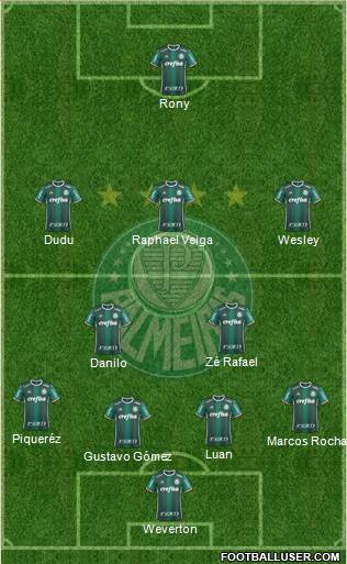 SE Palmeiras Formation 2021