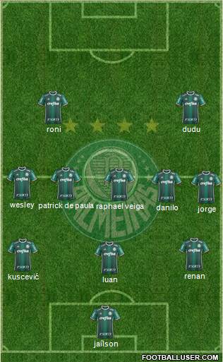 SE Palmeiras Formation 2021