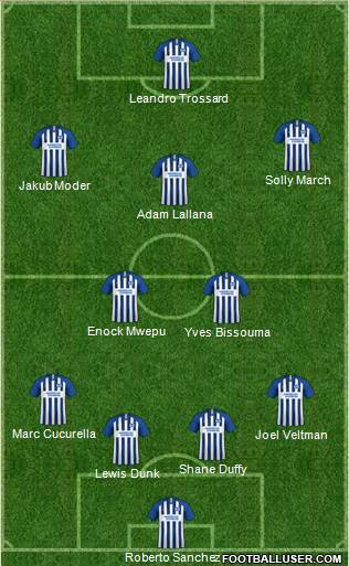 Brighton and Hove Albion Formation 2021