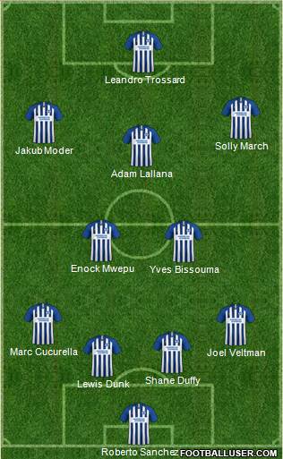 Brighton and Hove Albion football formation