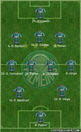 SE Palmeiras Formation 2021