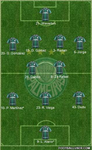 SE Palmeiras Formation 2021