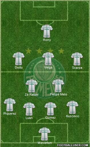 SE Palmeiras Formation 2021
