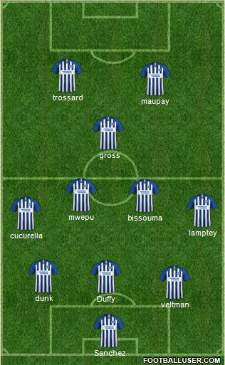 Brighton and Hove Albion football formation