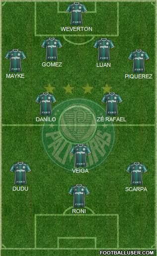 SE Palmeiras Formation 2021