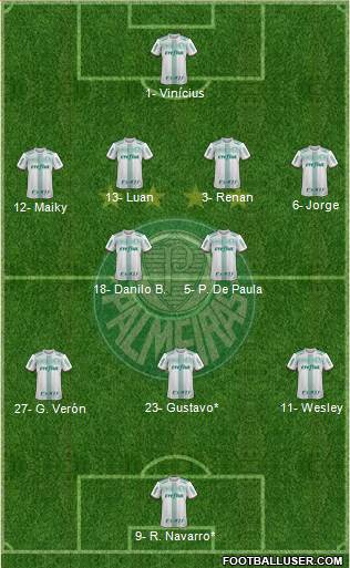 SE Palmeiras Formation 2021