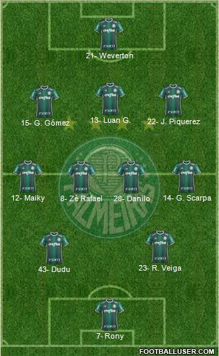 SE Palmeiras Formation 2021
