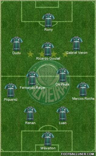 SE Palmeiras Formation 2021