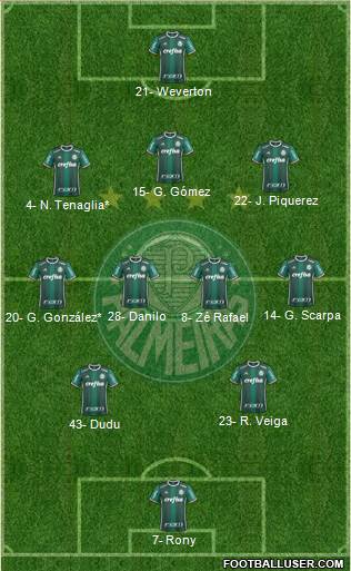SE Palmeiras Formation 2021