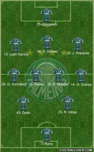 SE Palmeiras Formation 2021