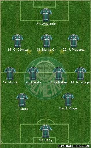 SE Palmeiras Formation 2022