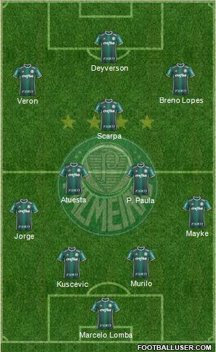 SE Palmeiras Formation 2022