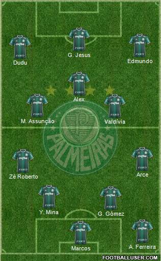 SE Palmeiras Formation 2022