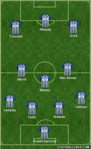 Brighton and Hove Albion Formation 2022