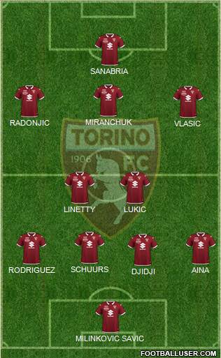 Torino Formation 2022