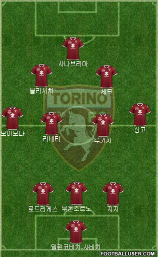 Torino Formation 2022