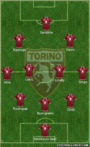 Torino Formation 2022