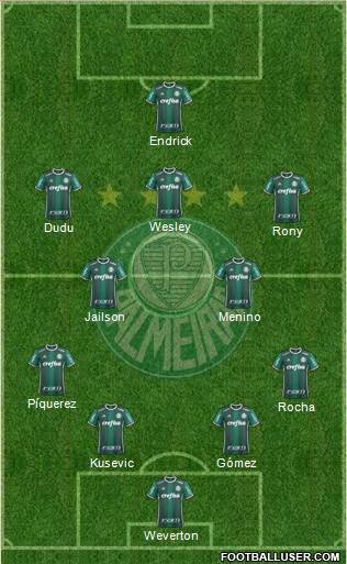 SE Palmeiras Formation 2022
