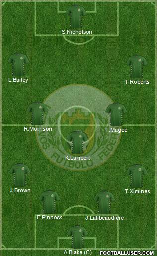 Lithuania football formation