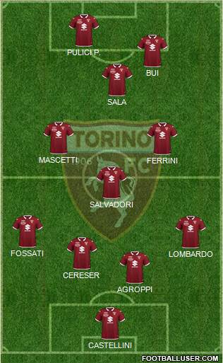 Torino Formation 2022
