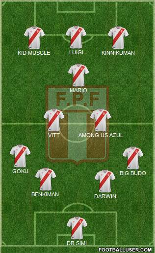 Peru football formation