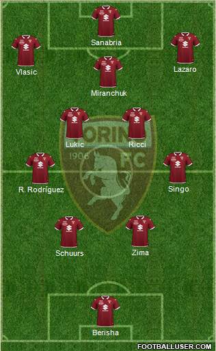 Torino Formation 2023