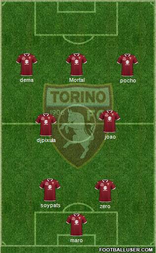 Torino Formation 2023