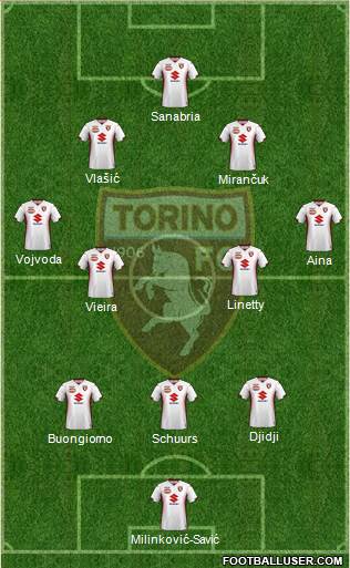 Torino Formation 2023
