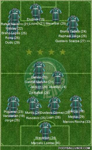SE Palmeiras Formation 2023
