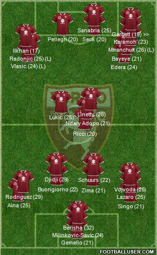 Torino Formation 2023