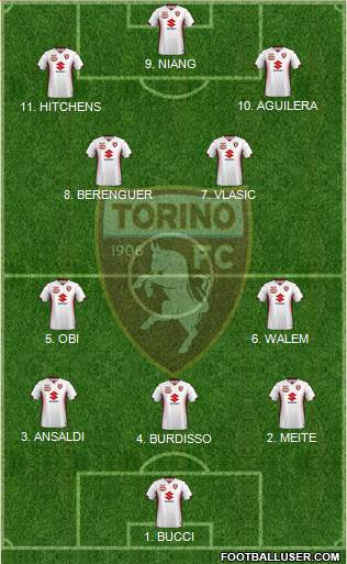 Torino Formation 2023