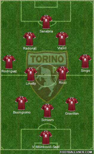 Torino Formation 2023