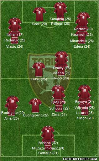 Torino Formation 2023