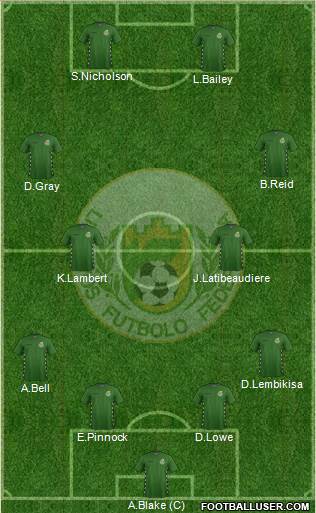 Lithuania football formation