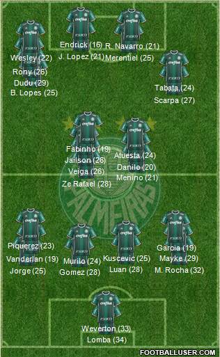 SE Palmeiras Formation 2023