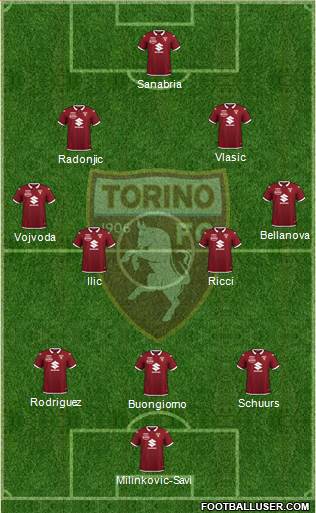 Torino Formation 2023