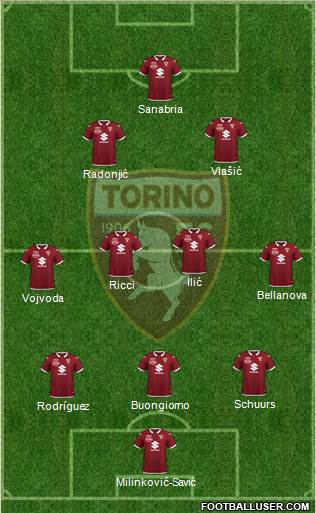 Torino Formation 2023