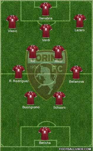 Torino Formation 2023
