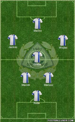 Finland football formation