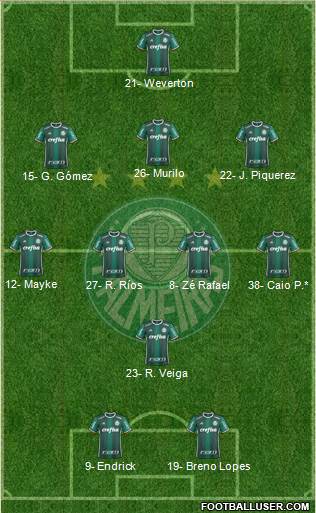 SE Palmeiras Formation 2024