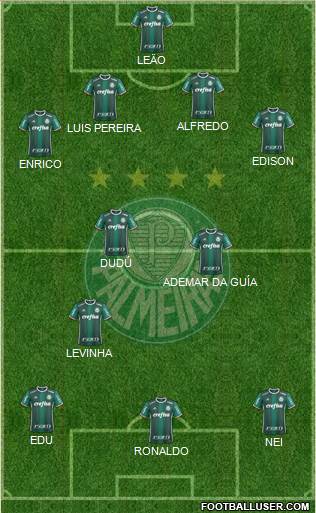 SE Palmeiras Formation 2024