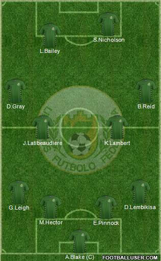 Lithuania football formation