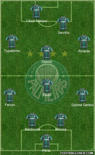 SE Palmeiras Formation 2024