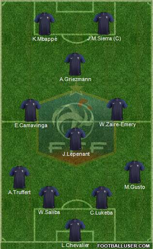 France 4-2-3-1 football formation